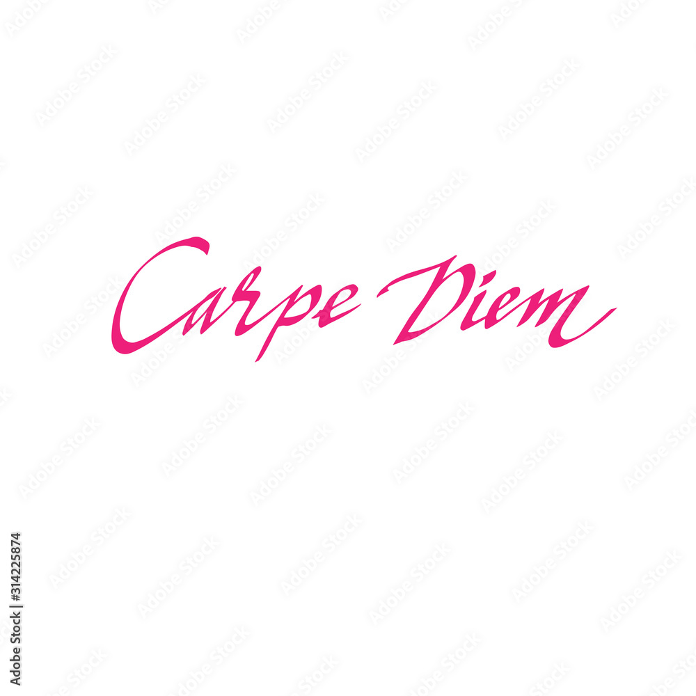 hand-written Carpe diem text. For banner, poster print, print, social media. vector