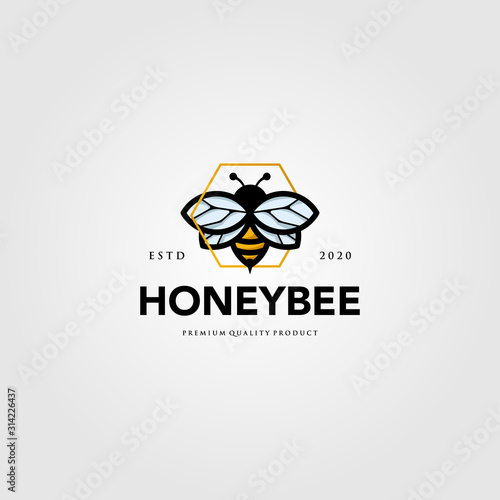 bumblebee mascot logo hexagon symbol vector illustration design