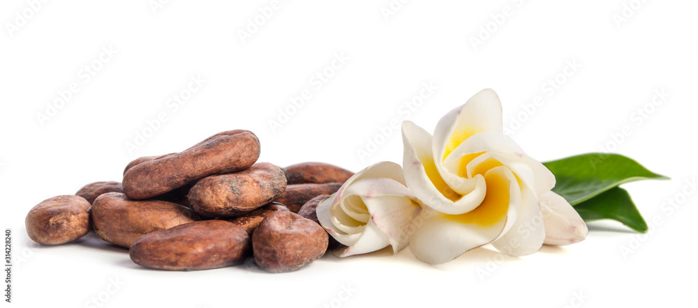 Obraz premium Beautiful flowers and cacao beans isolated on white background