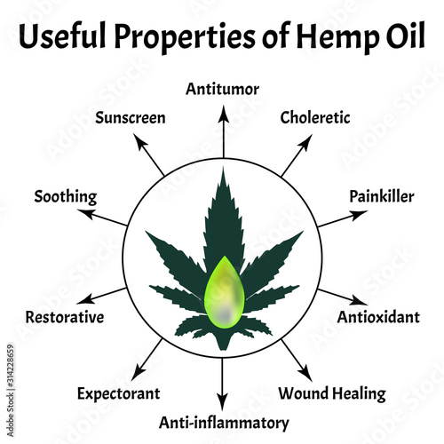 Useful properties of hemp oil. Marijuana icons cbd. Cannabinoid logo. Marijuana Leaves. Hemp oil. Infographics. Vector illustration on isolated background.