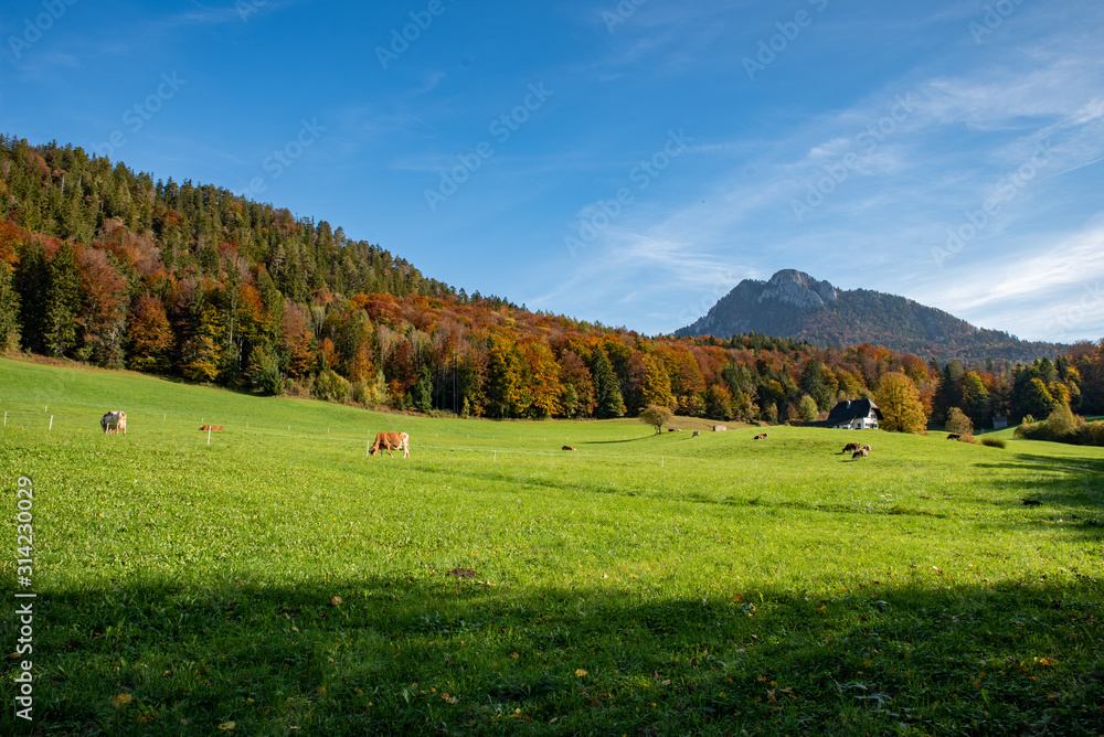 Fototapeta premium mountain scenery