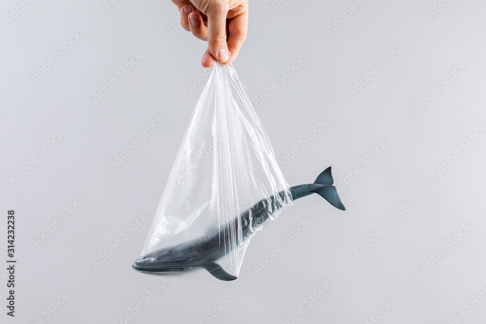 Naklejka premium The concept of World Environment Day. The man's hand holds the blue whale in a plastic bag. In the blank for social advertising there is a place for the inscription.