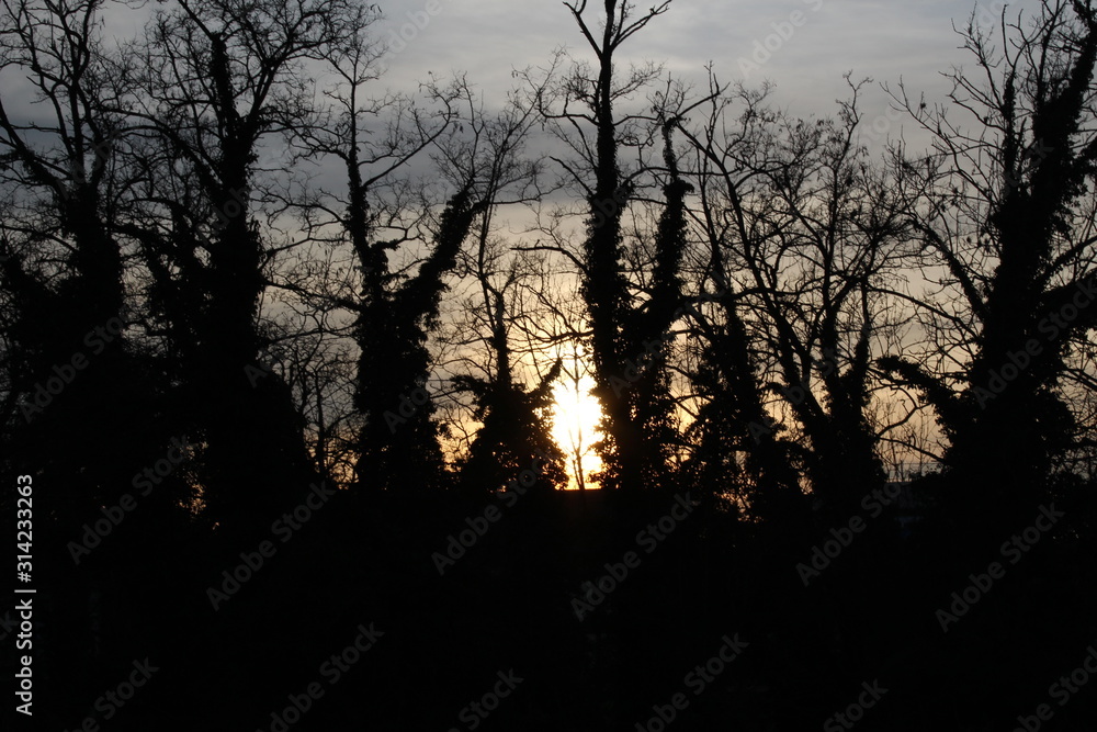 Sonnenuntergang im Winter im Wald