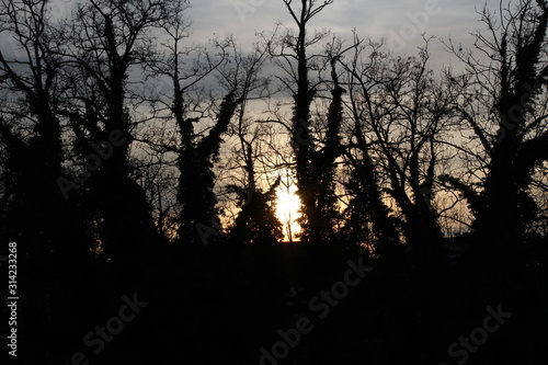 Sonnenuntergang im Winter im Wald