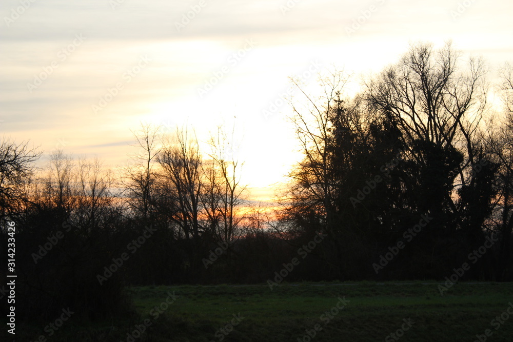 Sonnenuntergang im Winter im Wald