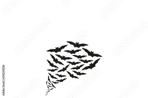 flying bats silhouettes. flock of bats