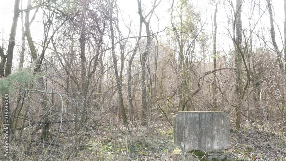 4K Old Gravestone in Cemetery in Winter 4K Old Gravestone in Cemetery in Winter