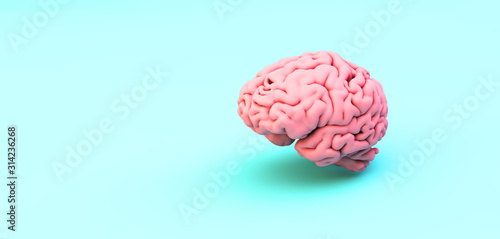 pink brain on blue background