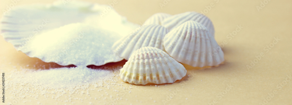 Summer time concept with sea shells and starfish on a sand background Summer time concept with sea shells and starfish on a sand background