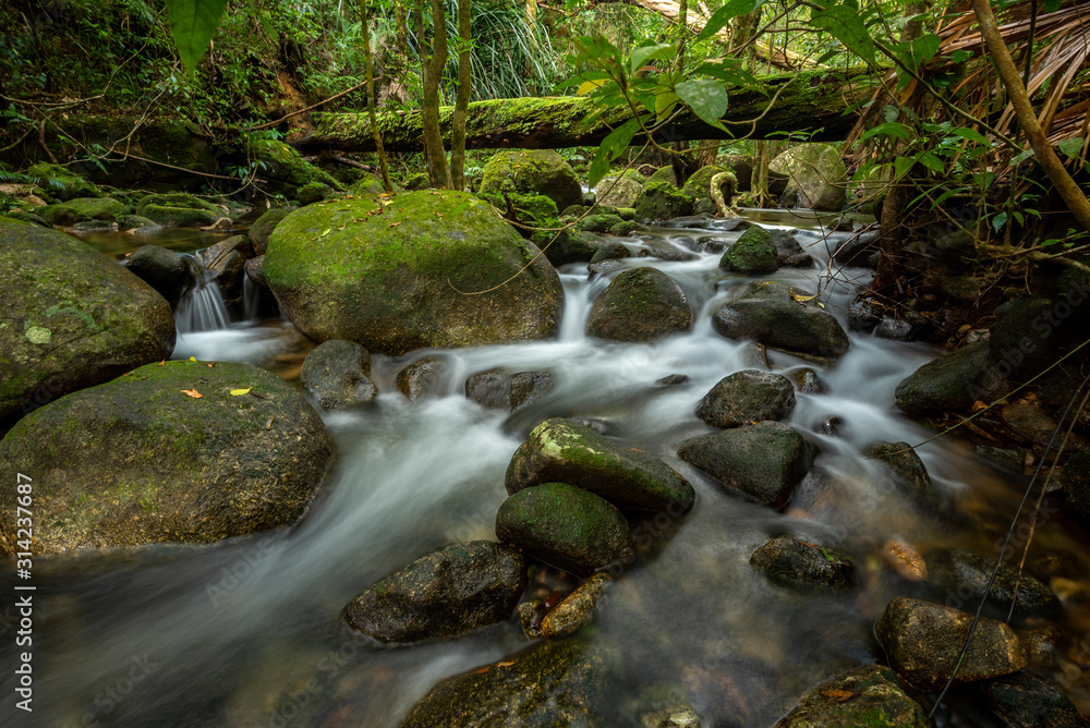 beautiful waterfall in green forest in jungle beautiful waterfall in green forest in jungle