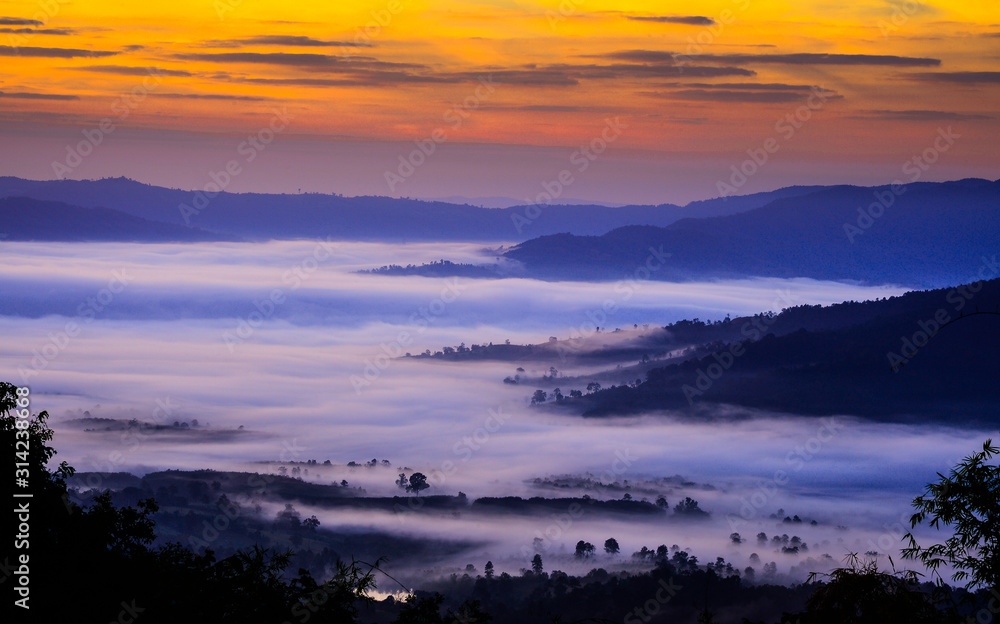 Fototapeta premium Stunning amazed natural landscape of sun rising above mountain and sea of mist in the fresh morning on high mountain in Thailand.