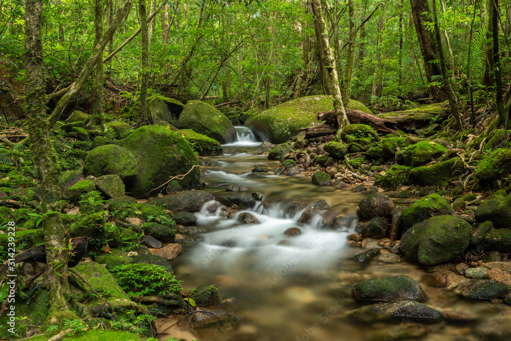 beautiful waterfall in green forest in jungle beautiful waterfall in green forest in jungle