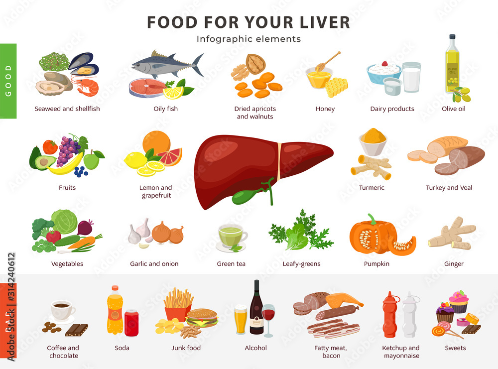 Food For Liver Infographic Elements Isolated On White Background food-for-liver-infographic-elements-isolated-on-white-background