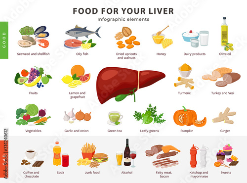 Food for Liver infographic elements isolated on white background. Healthy and unhealthy foods for human liver and gallbladder health icons in flat design.