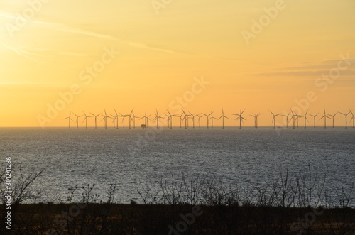 Windmills power plant, harvesting wind energy