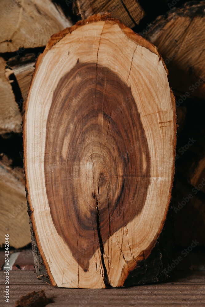 Beautiful saw cut down of wood stands before folded firewood Beautiful saw cut down of wood stands before folded firewood