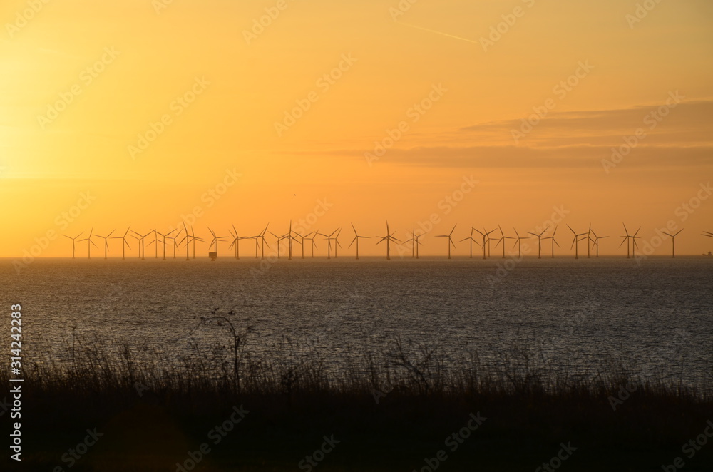 Windmills power plant, harvesting wind energy