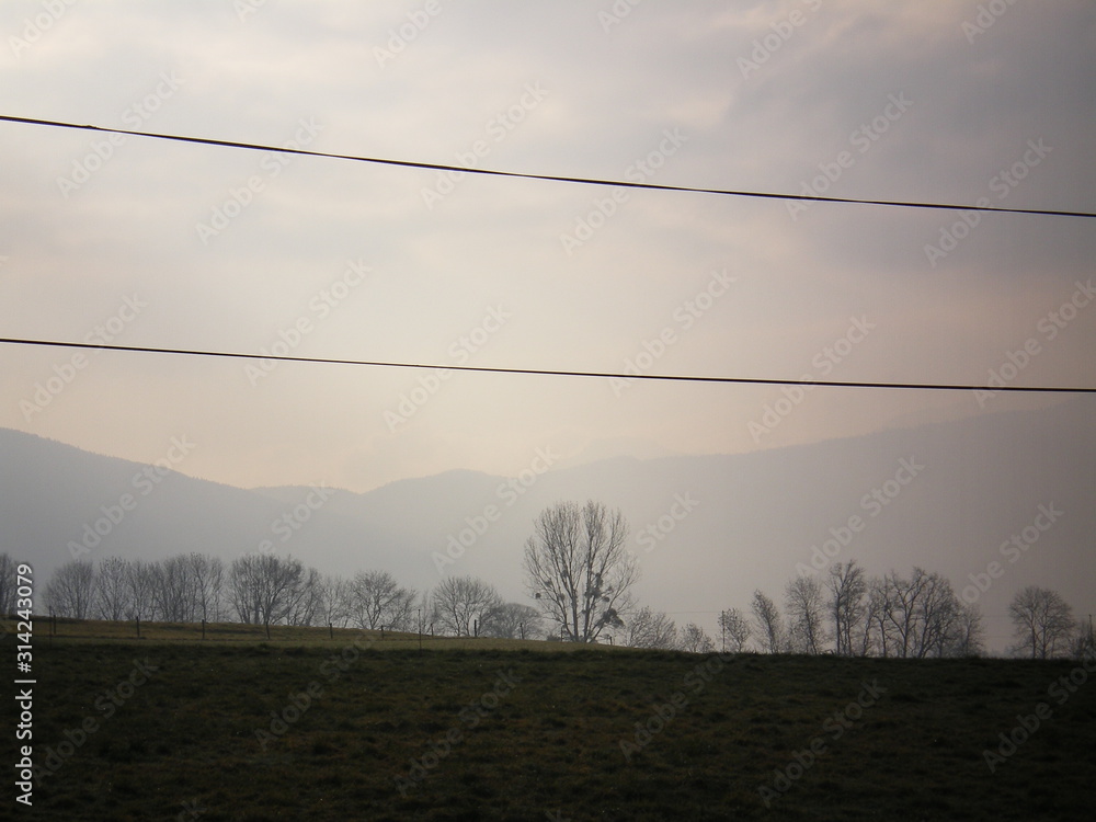 Beautiful grass field, with a ligne of dead trees (because it's winter). You can also see pastel mountains of the French Alps, in the fog. It was in february 2007. Beautiful grass field, with a ligne of dead trees (because it's winter). You can also see pastel mountains of the French Alps, in the fog. It was in february 2007.