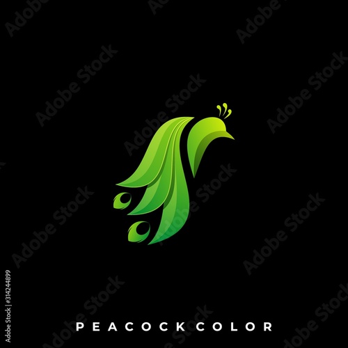 Peacock Bird Illustration Vector Template