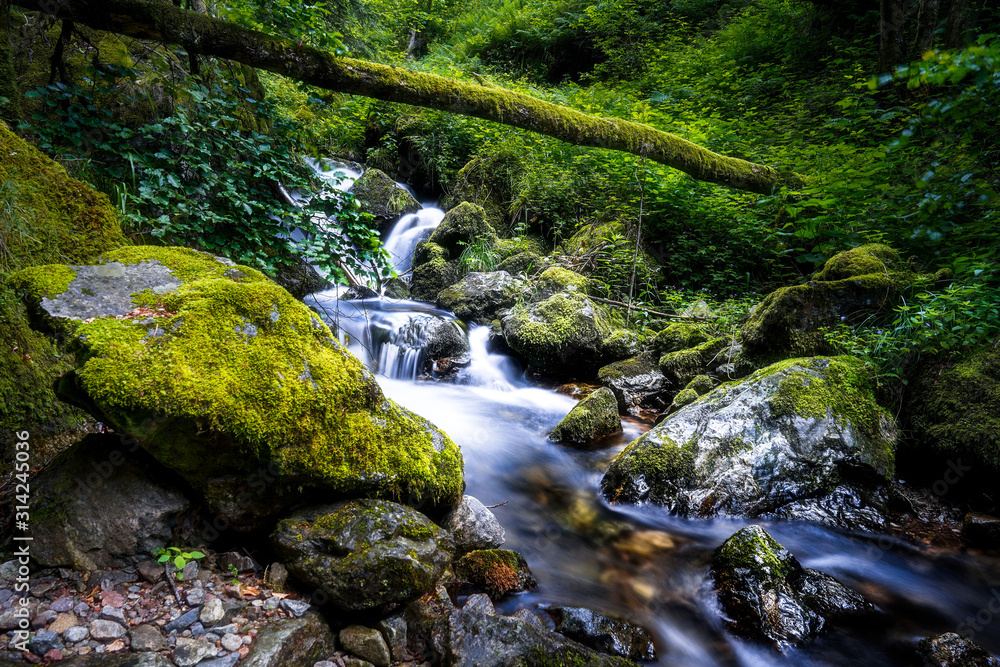 Schwarzwald Schwarzwald