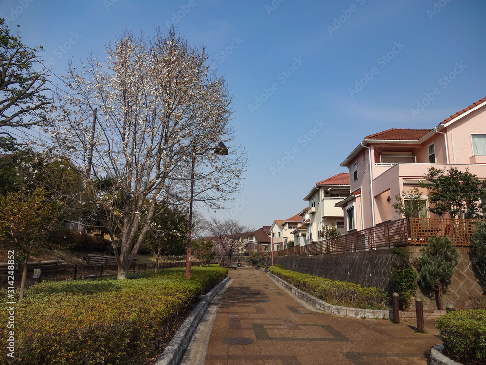 住宅街のイメージ 住宅街のイメージ