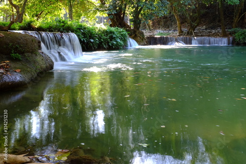 Tropical forest in Thailand.