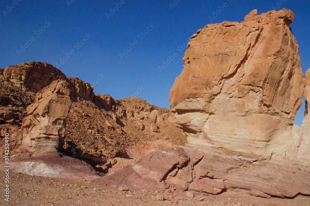 Fototapeta premium The famous Timna National Park in the desert in southern Israel in the Eilat region. Sand cliffs, dry land, red sand in the form of pillars and mushrooms. Sights of Israel.