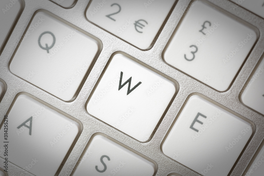 Computer keyboard - silver keyboard of a laptop with button W isolated. Home office with portable modern technology, IT and computing. Computer keyboard - silver keyboard of a laptop with button W isolated. Home office with portable modern technology, IT and computing.