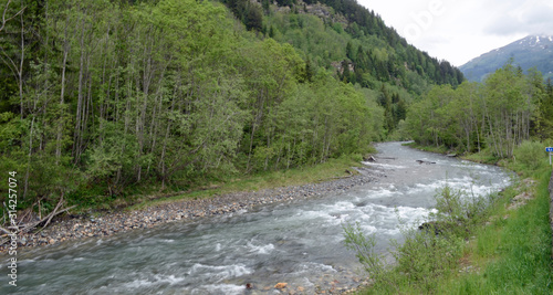 Wild river running through the forest in Tirol Austria europe.