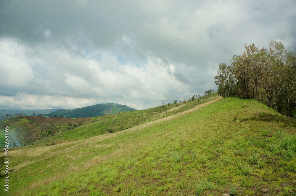 The savanna is dominated by verdant grass in the rainy season and several trees that spread widely in the valley with a mountain background.