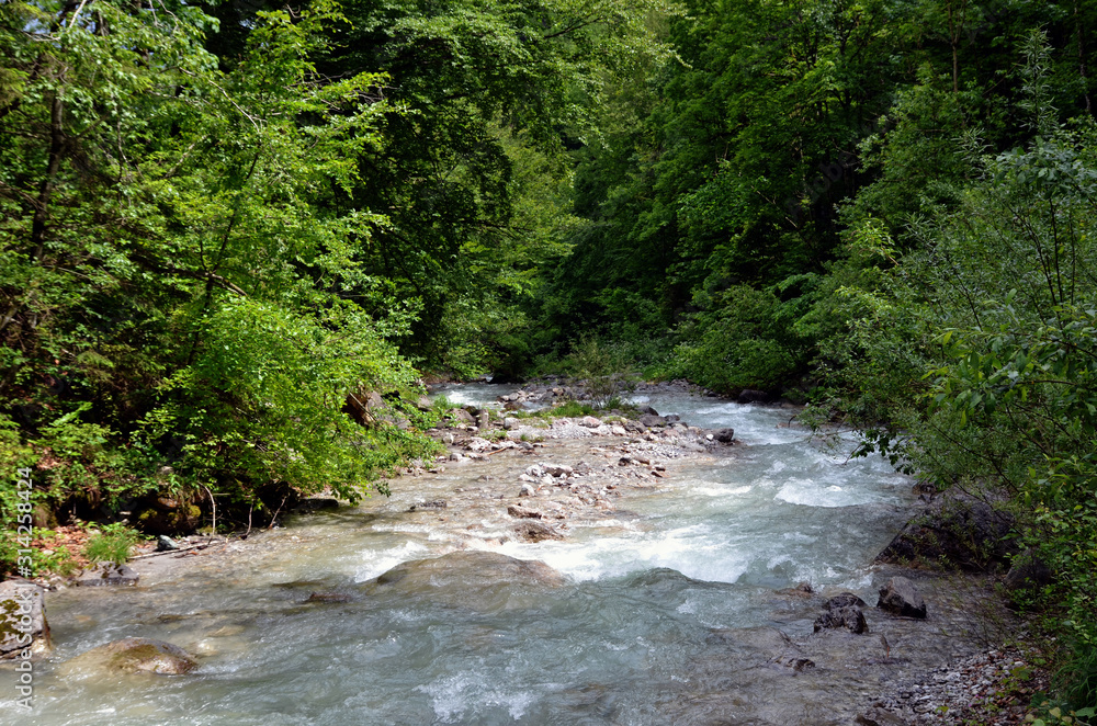 Wild river running through the forest in Tirol Austria europe. Wild river running through the forest in Tirol Austria europe.