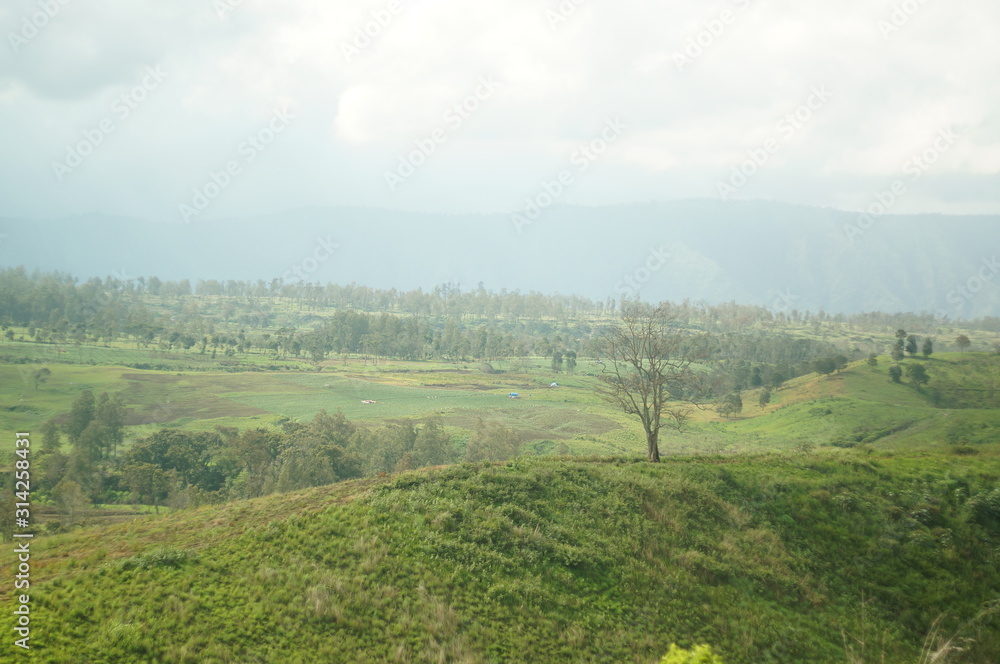 Plateau with a few trees under the foot of the mountain and was once a wilderness Plateau with a few trees under the foot of the mountain and was once a wilderness