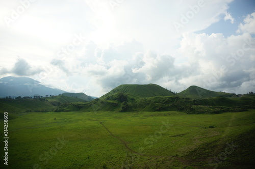 The savanna is dominated by verdant grass in the rainy season and several trees that spread widely in the valley with a mountain background.