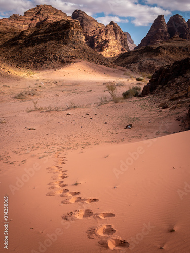 Wallpaper Mural Footsteps walking alone in Wadi Rum desert, Jordan Torontodigital.ca