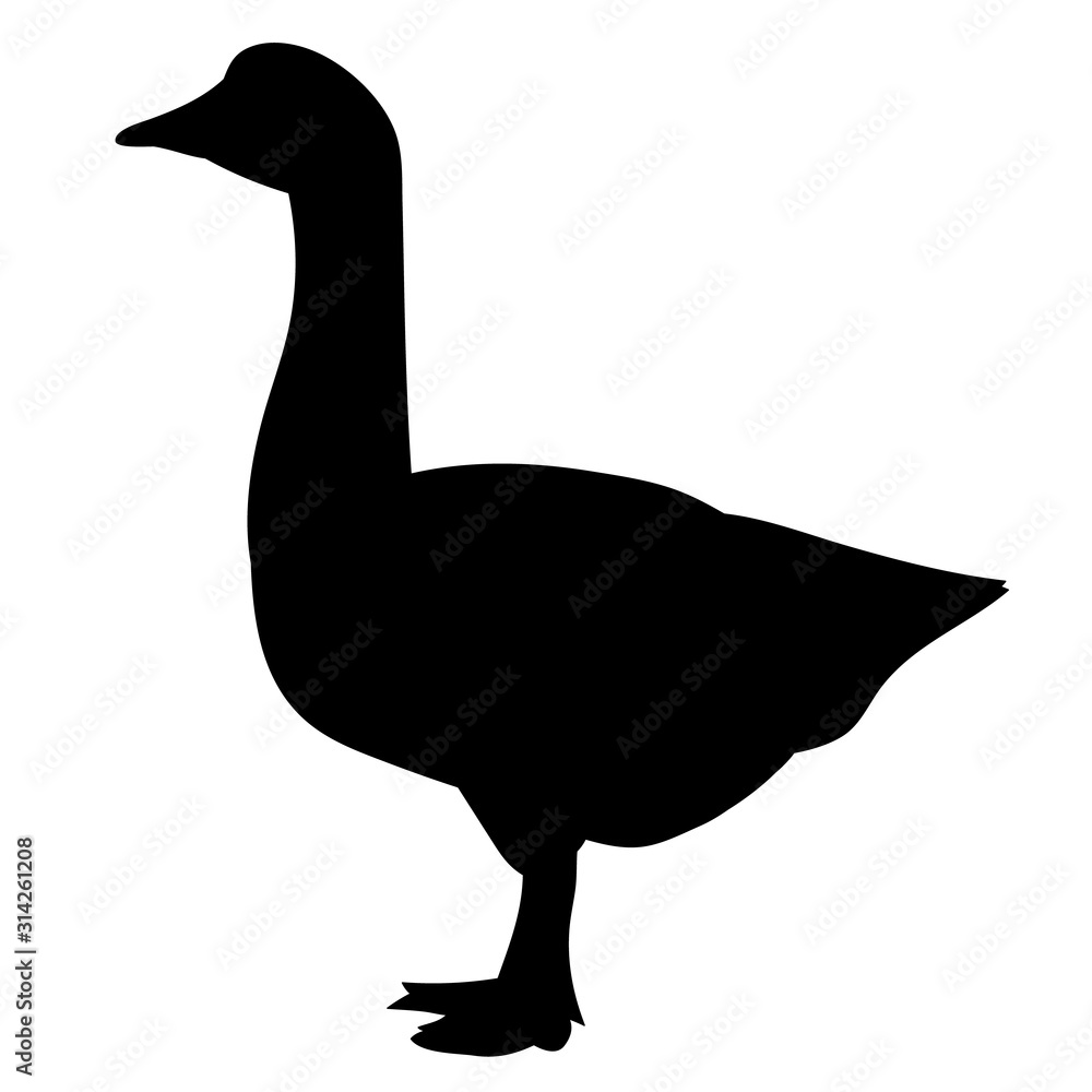 black silhouette of a goose, duck black silhouette of a goose, duck