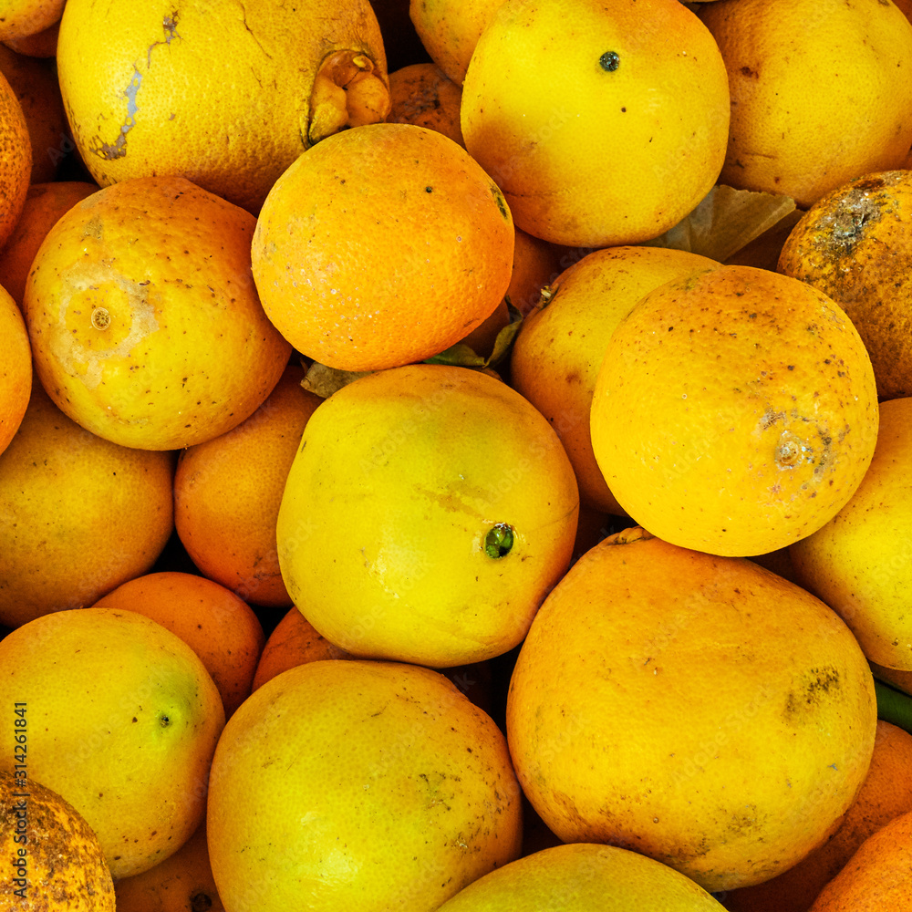 Organic orange fruits