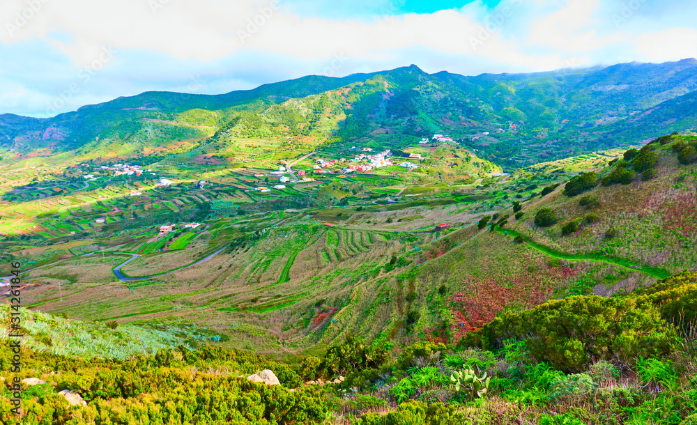 Rural landscape of tne North of Tenerife