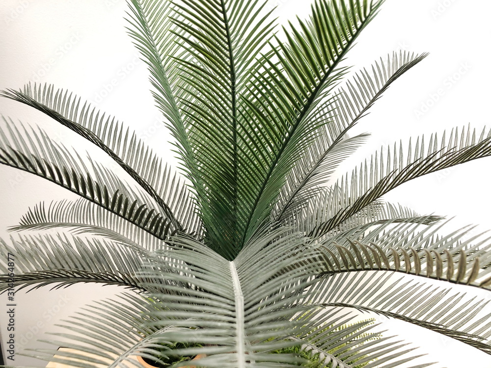 The artificial palm in the pot on white background The artificial palm in the pot on white background