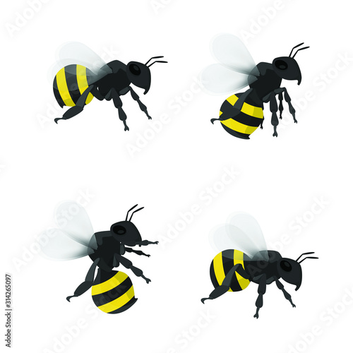 Flying bee isolated on white background, Insect wild life illustration vector design.