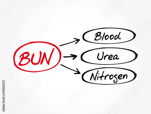 BUN - Blood Urea Nitrogen acronym, medical concept background