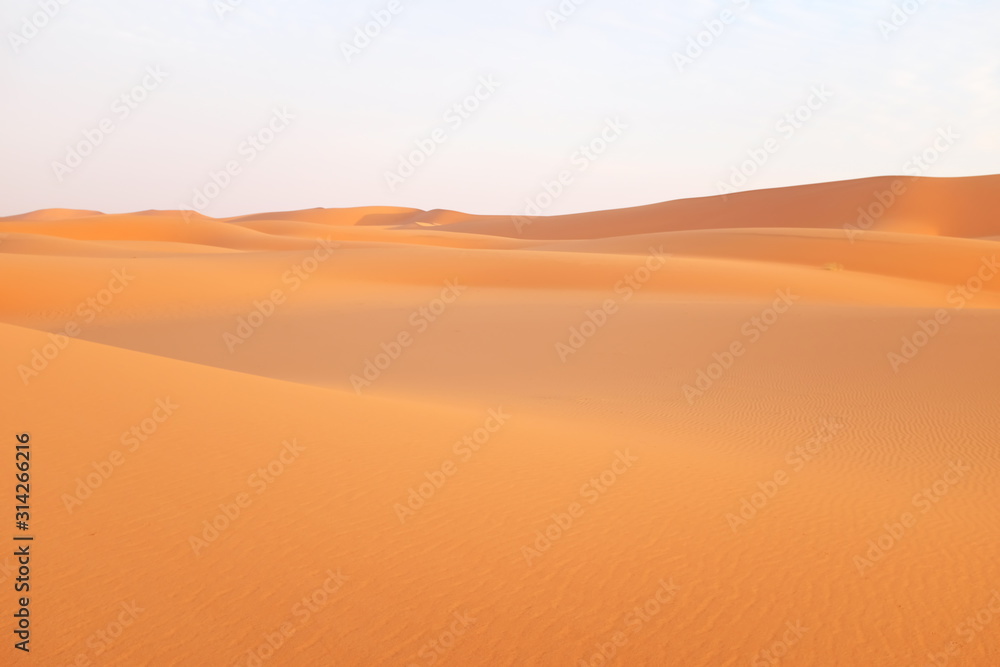 Bright orange desert sand dunes in the Arabian Desert in Riyadh, Saudi Arabia