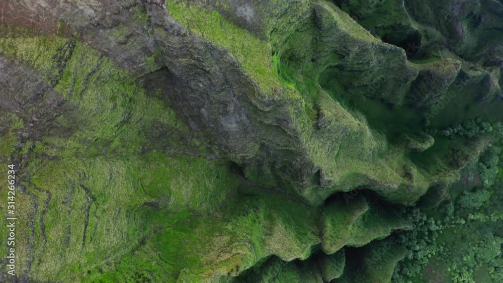 Aerial drone shot from top to bottom of a rocky depression of Hawaiian island. The steep walls of the cavity are covered with bright green grass, bushes of an unusual appearance grow at the bottom. 4K Aerial drone shot from top to bottom of a rocky depression of Hawaiian island. The steep walls of the cavity are covered with bright green grass, bushes of an unusual appearance grow at the bottom. 4K