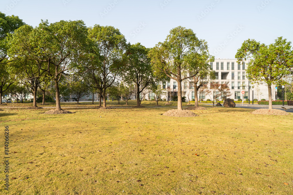 Modern business office area at sunrise