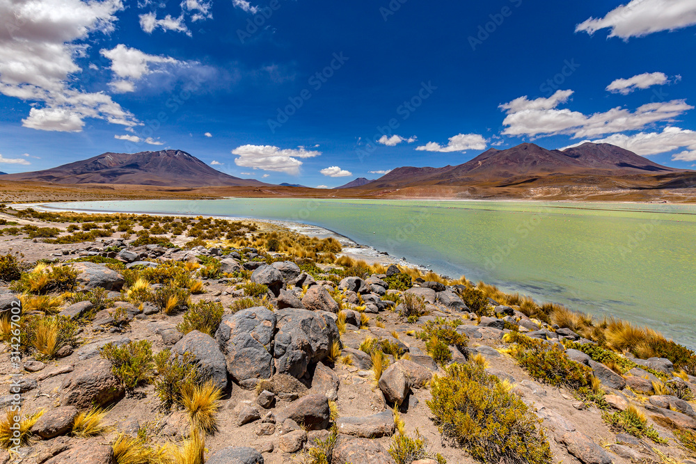 Bolivia, the southwest of the Altiplano, Potosi Department. Eduardo Avaroa Andean Fauna National Reserve. Laguna Hedionda, endorheic salt lake