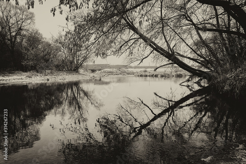 Reflection of a tree in, the beginning of winter