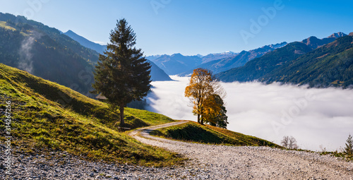 Fényképezés Misty autumn morning mountain and big lonely trees view from hiking path near Dorfgastein, Land Salzburg, Austria