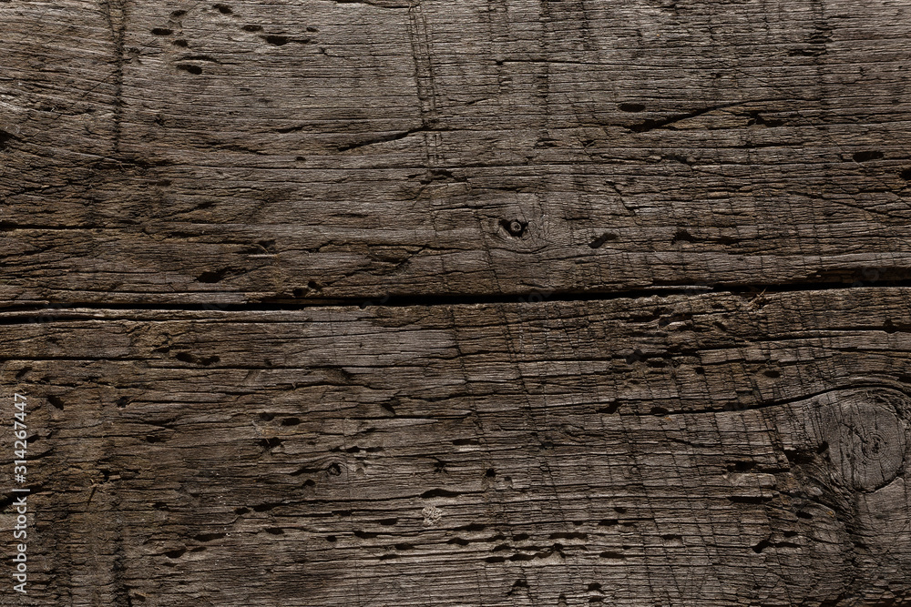 Fototapeta premium A very old shabby and battered wooden background with deep cuts from a knife and traces of blows from an ax. Damaged tree by insects. A wooden board lying under the sun, snow, rain and wind. 