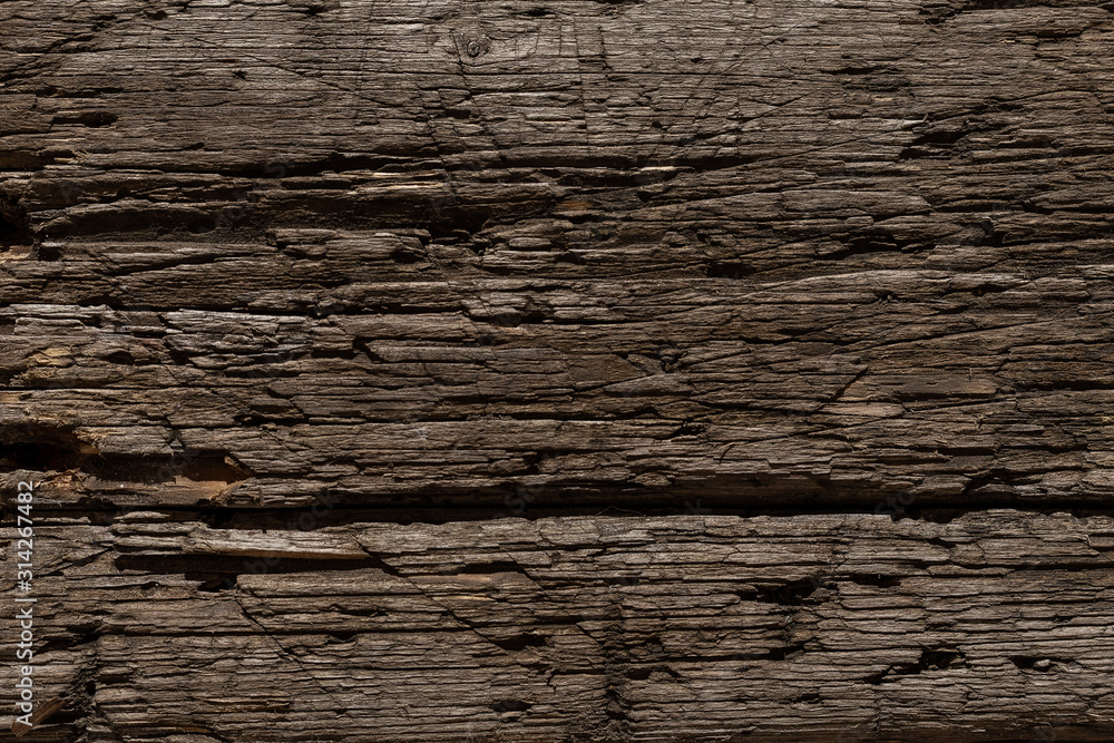 Fototapeta premium A very old shabby and battered wooden background with deep cuts from a knife and traces of blows from an ax. Damaged tree by insects. A wooden board lying under the sun, snow, rain and wind. 