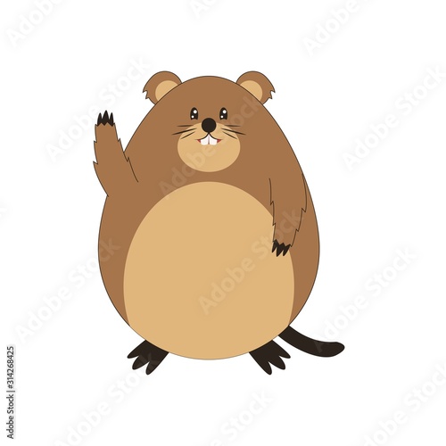 Cute Groundhog illustration, happy groundhog day