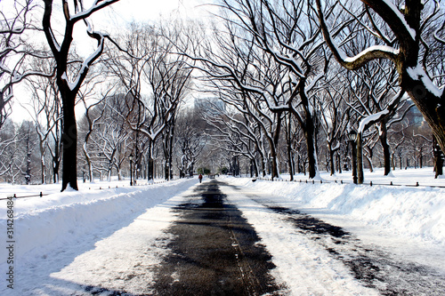  Snowy road in Central Park with trees along.